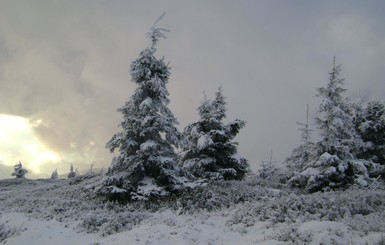 Красота гор и зимние пейзажи: удивительные фото заснеженных Карпат 