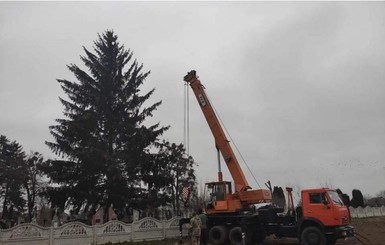 Жители Дубно обиделись на мэра за то, что привез новогоднюю елку с кладбища