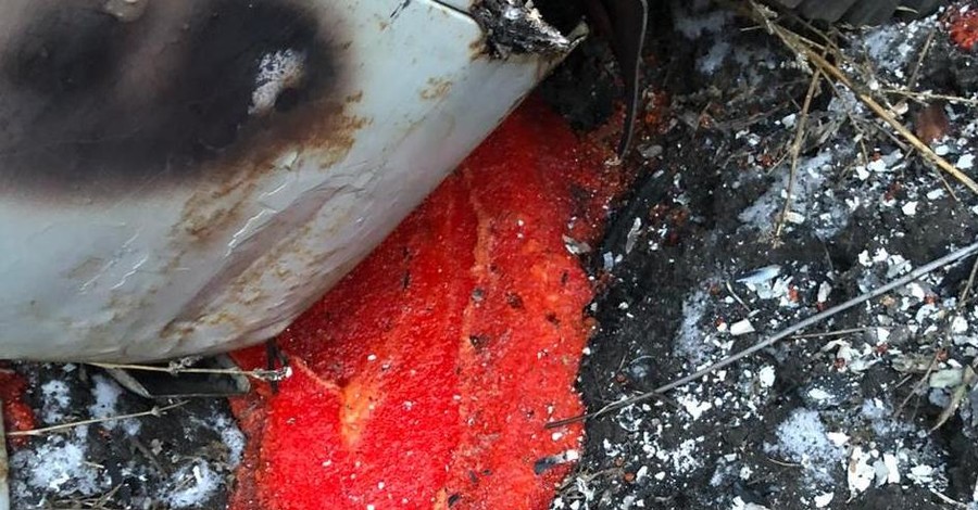 Контрабандисты сожгли на границе Украины машину с красной и черной икрой