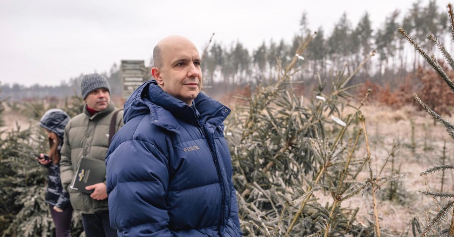 Министр экологии попросил украинцев купить домой живую новогоднюю елку