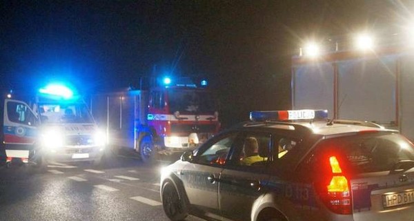 В Польше олень протаранил автомобиль, в котором ехали украинцы 