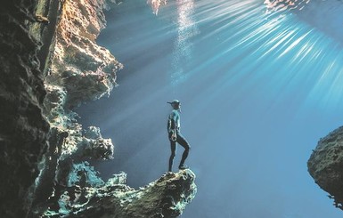 Конкурс на лучшую океанскую фотографию выиграли… скаты