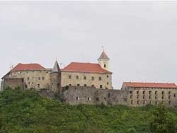 Никто не хочет покупать замок в Закарпатье 