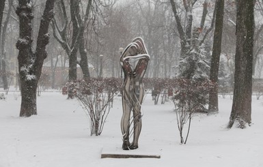 Зима в Киеве: столицу засыпало снегом
