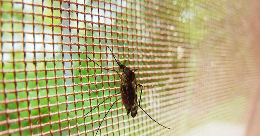 В Харькове от малярии умер мужчина