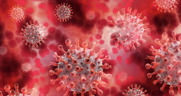 В Украине нашли пять штаммов коронавируса