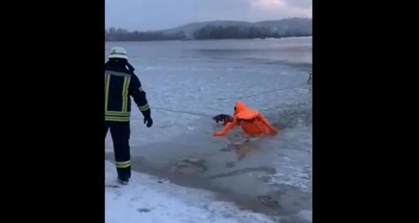 В Киеве спасатели  вытащили провалившегося под лед пса