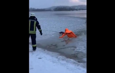 В Киеве спасатели  вытащили провалившегося под лед пса