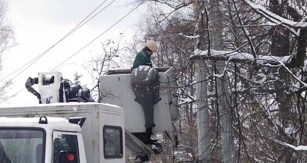 В Киевской области бобры на день оставили жителей села без света