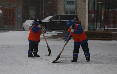 Украину накрыли снегопады, метели и гололед: что происходит в регионах