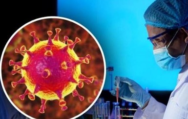В ВОЗ рассматривают четыре гипотезы, как коронавирус мог проникнуть в организм нулевого пациента