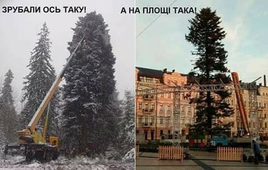 Украинцы - о главной новогодней елке: 