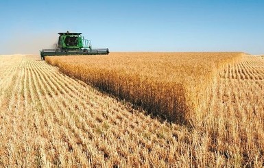Что ждет украинское зерно без российских удобрений