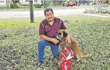 После урагана пес сбежал из дома и запасся мешком корма