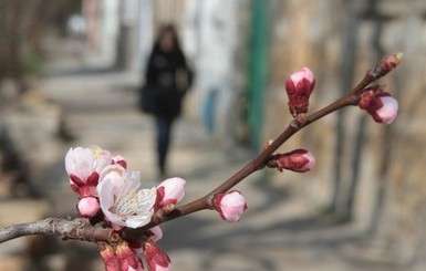Когда придет весна и будет ли теплым март-2021: что говорят синоптики