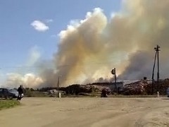 В Донецке сгорело пшеничное поле 