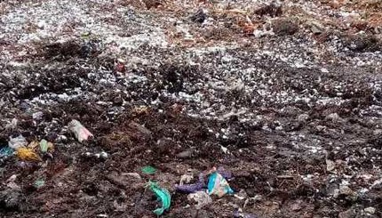 На Житомирщине выбросили львовский мусор