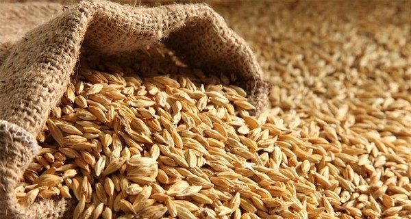 Украина с 10 апреля запретила ввоз из России пшеницы, подсолнечного масла и бумаги