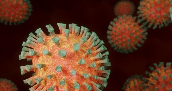 ВОЗ обнародовала результаты расследования по происхождению коронавируса