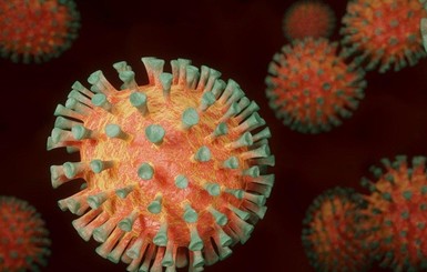 ВОЗ обнародовала результаты расследования по происхождению коронавируса