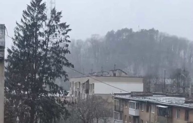 На Закарпатье из-за снегопада ограничини движение на трассе Киев-Чоп