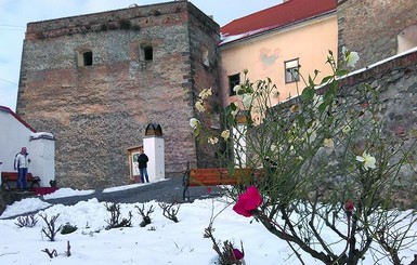 В Мукачево в начале зимы расцвели розы