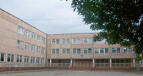 В  Никополе орудует 