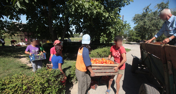 В Мукачево детей-сирот используют как рабочую силу