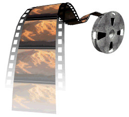 «КиноЛев-2008» покажет 140 фильмов 