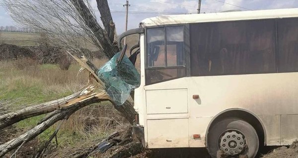 На Донбассе автобус с шахтерами врезался в дерево