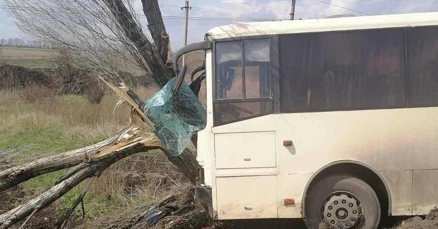 На Донбассе автобус с шахтерами врезался в дерево