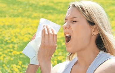 Аллергия на амброзию: как лечить и предотвратить реакцию