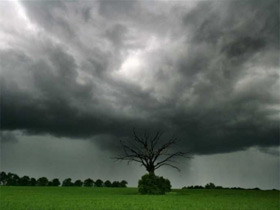 В Украине объявили штормовое предупреждение 