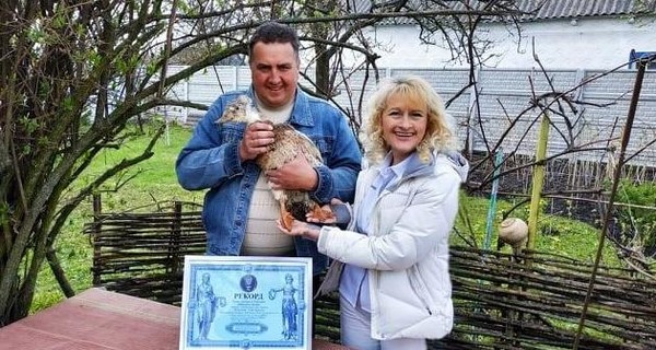 Утка-долгожительница установила рекорд Украины