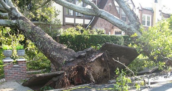 Смерчи повредили 97 зданий в центральной Японии