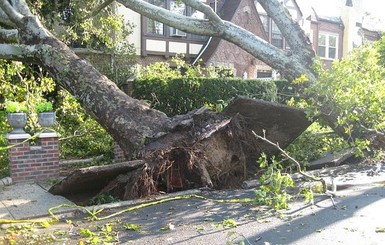 Смерчи повредили 97 зданий в центральной Японии