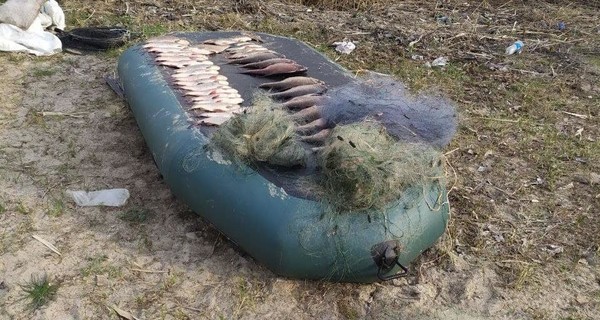 В Кременчуге сообщили о подозрении браконьеру, который избил журналиста