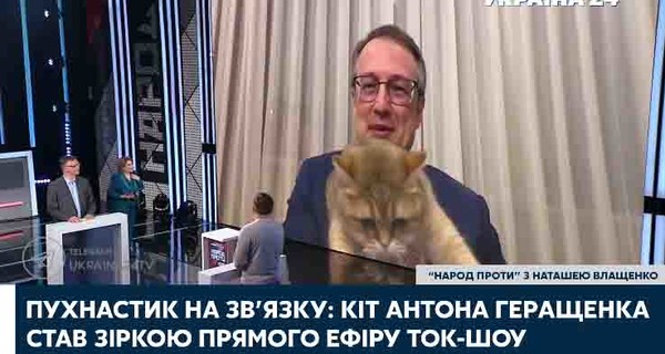 Хвост кота Антона Геращенко сорвал прямой эфир замминистра внутренних дел