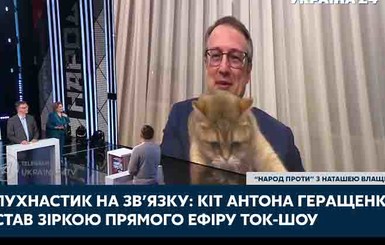 Хвост кота Антона Геращенко сорвал прямой эфир замминистра внутренних дел