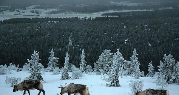Финляндия побила температурный рекорд