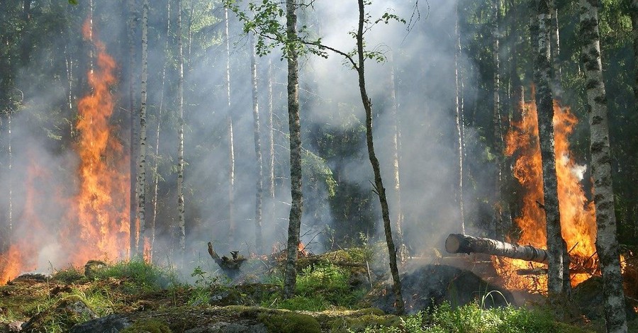 В Украине объявлен чрезвычайный уровень пожароопасности: осторожнее с огнем