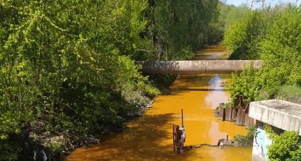 Киевские специалисты узнали, чем загрязнили реку Лыбидь