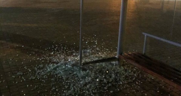 Одесситка помогла задержать хулиганов, разгромивших остановку