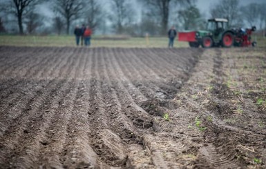 Накануне запуска рынка земли: что ждет украинских фермеров и иностранцев