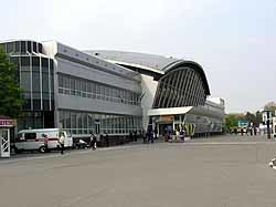В аэропорту Борисполь пассажирка просила о помощи на коленях [ФОТО, ВИДЕО] 