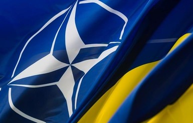 Украина станет членом НАТО, пройдя процедуру ПДЧ, - коммюнике саммита Альянса
