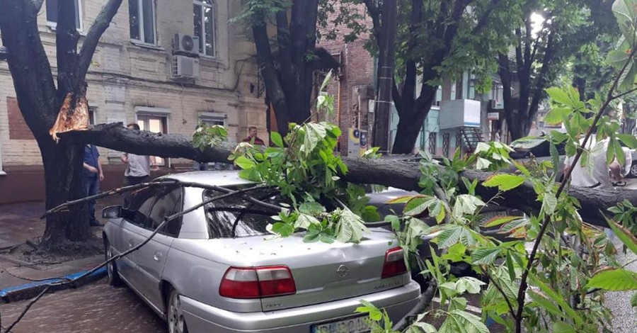 Непогода оставила без электричества 177 населенных пунктов Украины