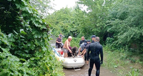 Под Мариуполем прорвало плотину и затопило два села