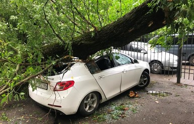 В Херсоне из-за непогоды деревья раздавили две машины, а в Одессе - потоп