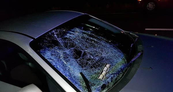 Под Запорожьем женщина погибла, защищая собаку от автомобиля